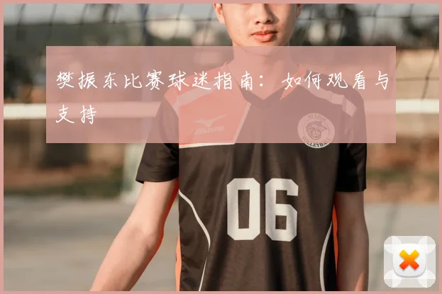 樊振东比赛球迷指南：如何观看与支持