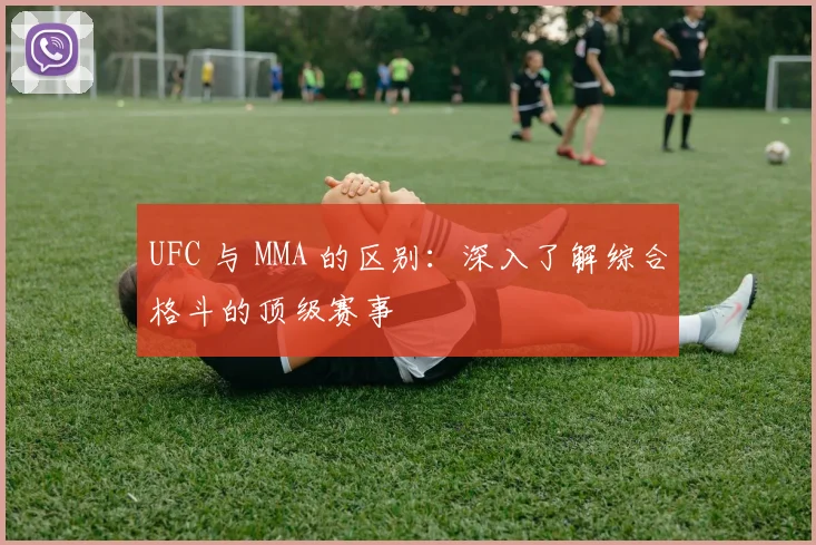 UFC 与 MMA 的区别：深入了解综合格斗的顶级赛事