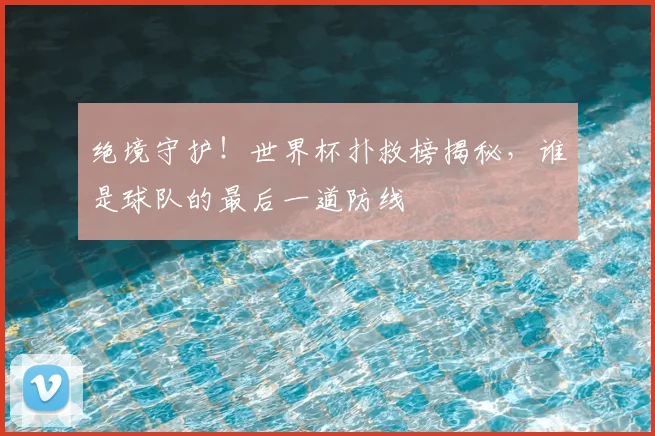 绝境守护！世界杯扑救榜揭秘，谁是球队的最后一道防线