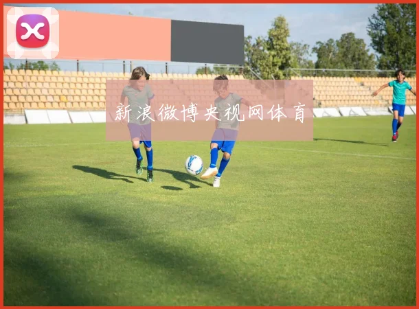 新浪微博央视网体育